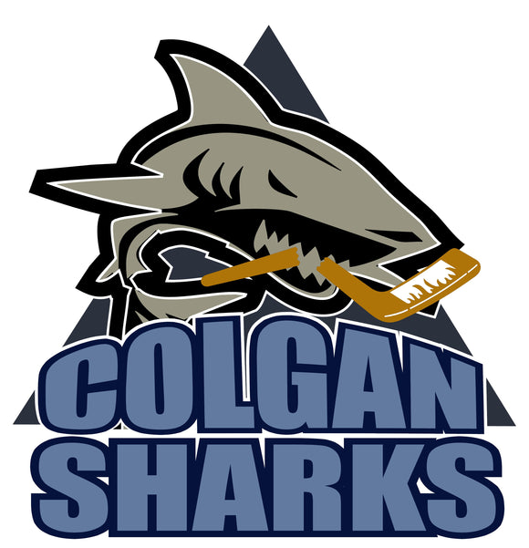 Colgan Ice Hockey