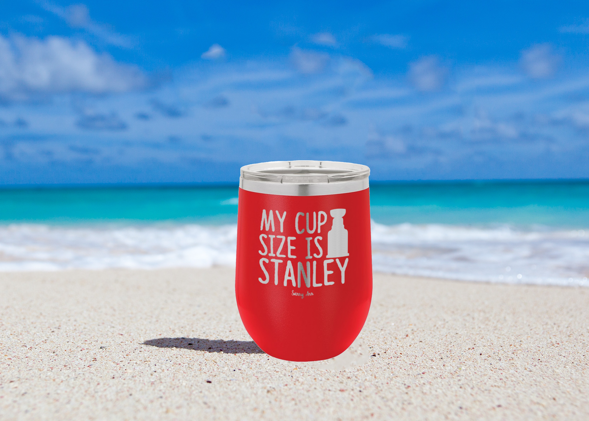 Stanley Red Tumblers
